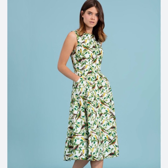 Emily and Fin Dresses & Skirts - NWOT Emily and Fin Jasmine Parakeets Print Dress